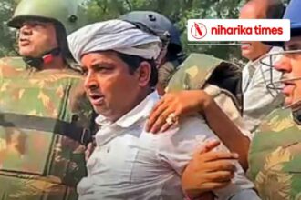 नरेश मीणा की जमानत याचिका खारिज: हाईकोर्ट का कड़ा फैसला