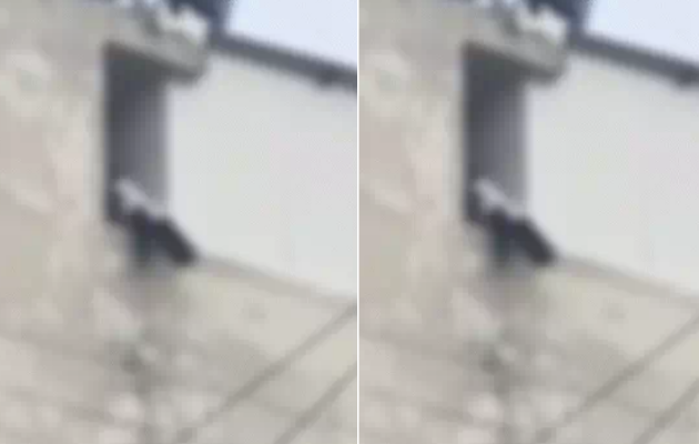 नीट की तैयारी कर रही छात्रा ने आत्महत्या का प्रयास किया