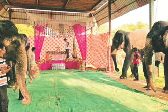 गणेश चतुर्थी पर हाथियों के साथ मनाया गया उत्सव