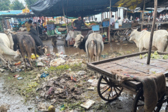 डग कस्बे में सफाई व्यवस्था की हालत खराब