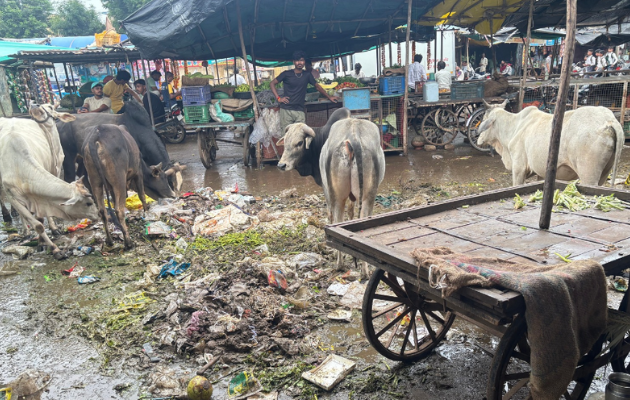 डग कस्बे में सफाई व्यवस्था की हालत खराब