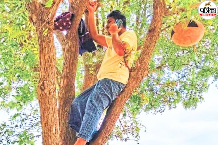 राजस्थान के गांवों में मोबाइल नेटवर्क की समस्या से जूझते लोग