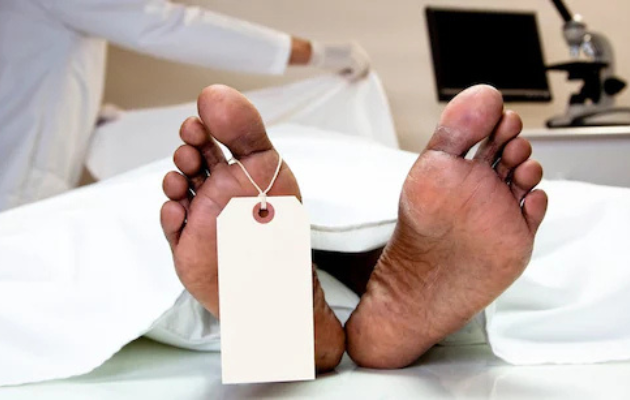 पिलर के गिरने से ट्रेलर चालक की हुई मौत