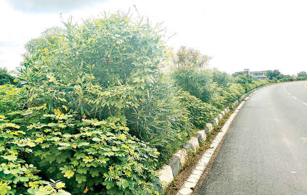 नेशनल हाईवे 27 पर खतरनाक स्थिति और बढ़ते हादसे