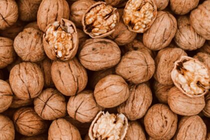 अखरोट खाने के फायदे और सही समय