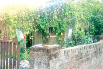 कोटा दक्षिण वार्ड 50 में सफाई व्यवस्था और खाली प्लॉट की समस्या कोटा दक्षिण वार्ड 50 में सफाई व्यवस्था और खाली प्लॉट की समस्या