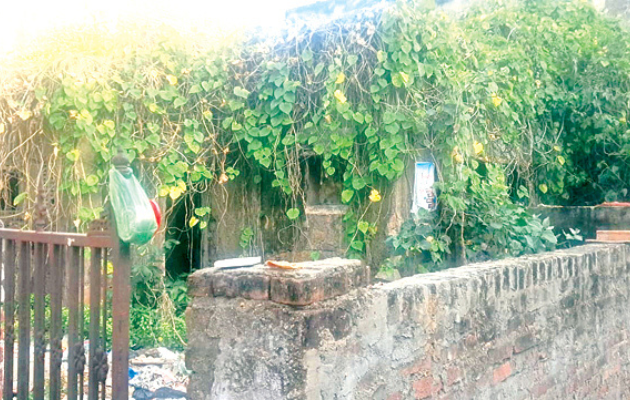 कोटा दक्षिण वार्ड 50 में सफाई व्यवस्था और खाली प्लॉट की समस्या कोटा दक्षिण वार्ड 50 में सफाई व्यवस्था और खाली प्लॉट की समस्या