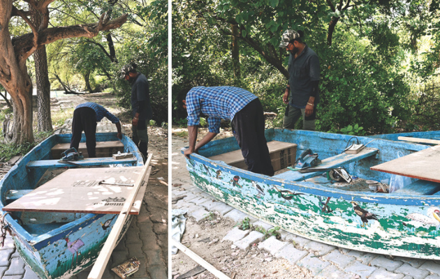 केवलादेव राष्ट्रीय उद्यान में प्रवासी पक्षियों की चहचहाट फिर से शुरू