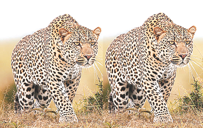 गंगा भैरव घाटी में प्रे-बेस निर्माण के लिए वर्क ऑर्डर जारी