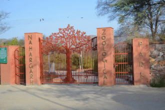 वन्यजीव सप्ताह के दौरान बच्चों में जागरूकता बढ़ाने की योजना