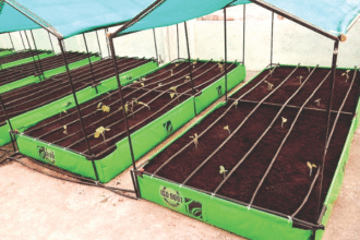 जयपुर में छतों पर सब्जी की खेती के लिए स्मार्ट सिटी योजना