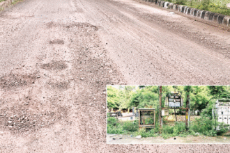 कोटा के वार्ड 51 में बारिश के कारण सड़कें और आवारा कुत्ते बन रहे हैं परेशानी