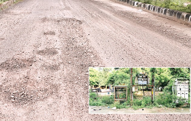 कोटा के वार्ड 51 में बारिश के कारण सड़कें और आवारा कुत्ते बन रहे हैं परेशानी