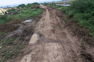 डडवाड़ा गांव में पक्की सड़क की कमी से लोग परेशान