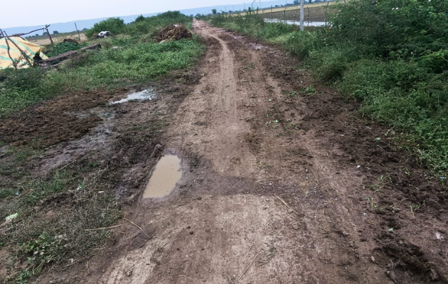 डडवाड़ा गांव में पक्की सड़क की कमी से लोग परेशान