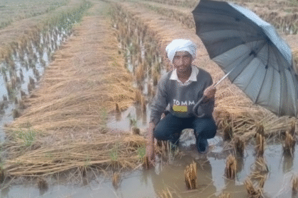 किसानों की फसलों की सुरक्षा के लिए ओम बिरला ने दिए निर्देश