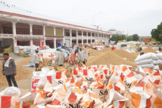 जयपुर मंडी में मूंगफली की बेहतर आवक, बारिश से कीमतों में उतार-चढ़ाव