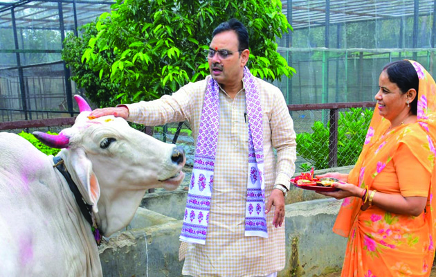 गोपाष्टमी पर मुख्यमंत्री भजनलाल शर्मा ने गौ माता की पूजा की