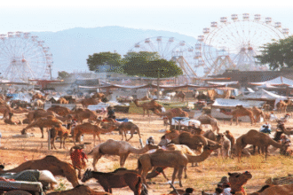 श्री पुष्कर मेले के कार्यक्रमों का फोल्डर विमोचन