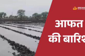 नीमच में बेमौसम बारिश से किसानों की फसलें संकट में