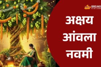 आंवला नवमी 2025: कार्तिक शुक्ल नवमी पर आंवला वृक्ष की पूजा का महत्व