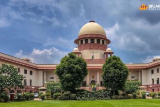 सुप्रीम कोर्ट ने आवारा कुत्तों के मामले में राज्यों को चेतावनी दी