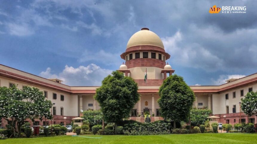 सुप्रीम कोर्ट ने आवारा कुत्तों के मामले में राज्यों को चेतावनी दी