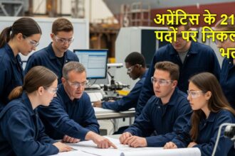 NSRY में अप्रेंटिस के लिए 210 पदों पर भर्ती, आवेदन प्रक्रिया जानें