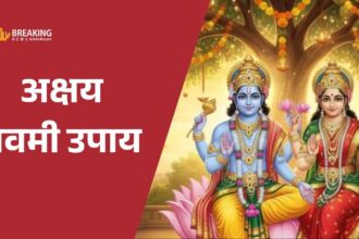 आंवला नवमी 2025: धन और सुख के लिए विशेष उपाय