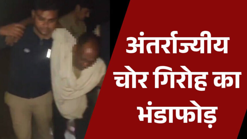 बदायूं में अंतर्राज्यीय चोर गिरोह के 9 सदस्यों की गिरफ्तारी