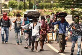 हरियाणा सरकार बिहारियों को मुफ्त घर भेजने की तैयारी कर रही है