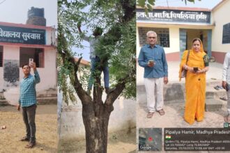 आगर मालवा में शिक्षकों को डिजिटल हाजिरी के लिए पेड़ पर चढ़ना पड़ रहा है
