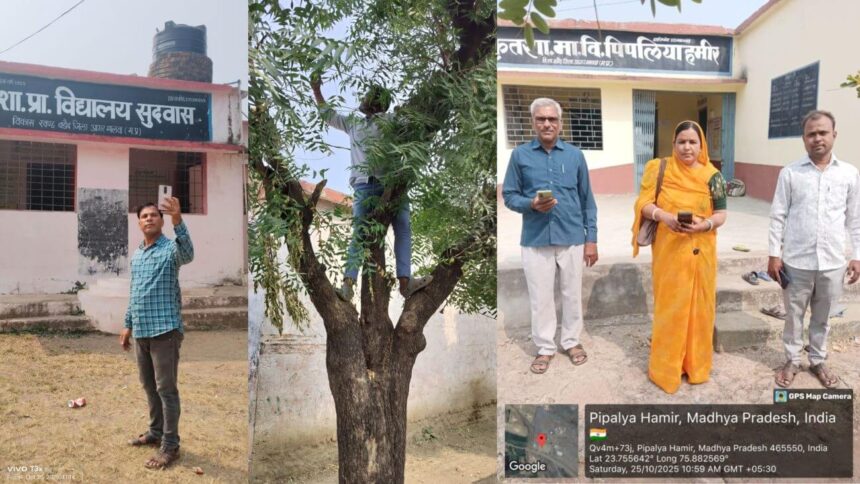 आगर मालवा में शिक्षकों को डिजिटल हाजिरी के लिए पेड़ पर चढ़ना पड़ रहा है