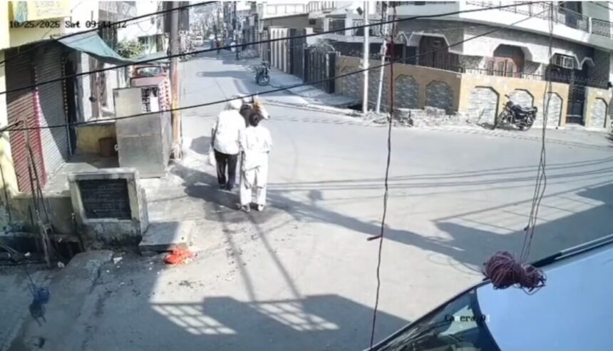 मुरादाबाद में आवारा सांड के हमले में बुजुर्ग की मौत