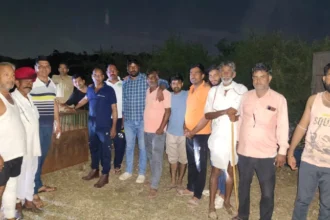 राजसमंद के तलाई गांव में पैंथर ने किया हमला