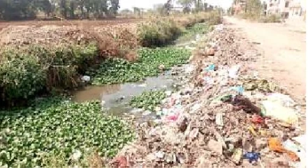 भीलवाड़ा में किसानों ने सिंचाई जल के लिए हस्तक्षेप की मांग की