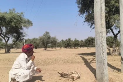 जैसलमेर में हाईटेंशन लाइन से एक व्यक्ति की मौत