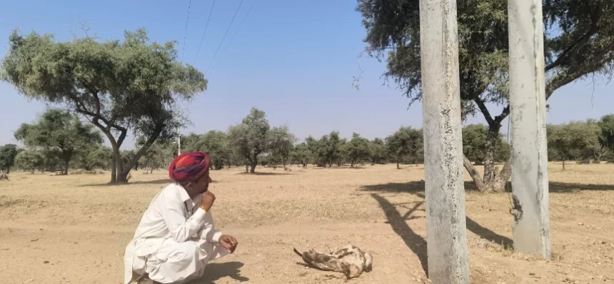 जैसलमेर में हाईटेंशन लाइन से एक व्यक्ति की मौत