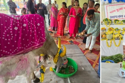 भीलवाड़ा में गौ माता के प्रति अनोखी श्रद्धा, नक्ष ने मनाया जन्मदिन