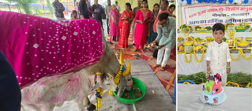 भीलवाड़ा में गौ माता के प्रति अनोखी श्रद्धा, नक्ष ने मनाया जन्मदिन