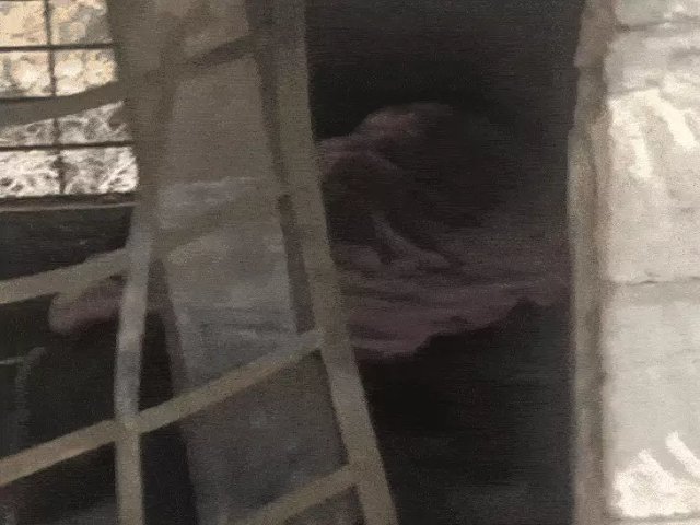 दीपावली के बाद चचेरे भाइयों की आग में जलकर मौत दीपावली के बाद चचेरे भाइयों की आग में जलकर मौत