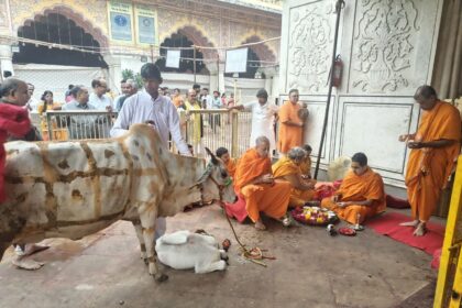 गोपाष्टमी पर जयपुर में गो माता की भक्ति का उत्सव