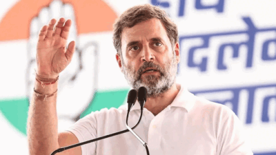 रायबरेली में संविधान की हत्या, इंसानियत पर कलंक: राहुल गांधी रायबरेली में संविधान की हत्या, इंसानियत पर कलंक: राहुल गांधी