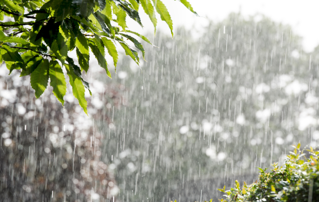 राज्य में बारिश का नया दौर शुरू होने की संभावना