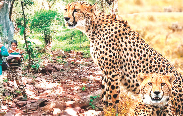शेरगढ़ सेंचुरी में जैव विविधता का वैज्ञानिक अध्ययन शुरू