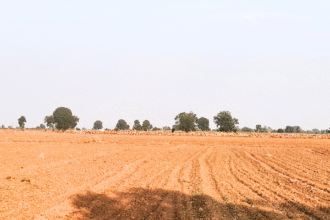 जखोनी में चारागाह भूमि पर दबंगों का अतिक्रमण बढ़ता जा रहा है