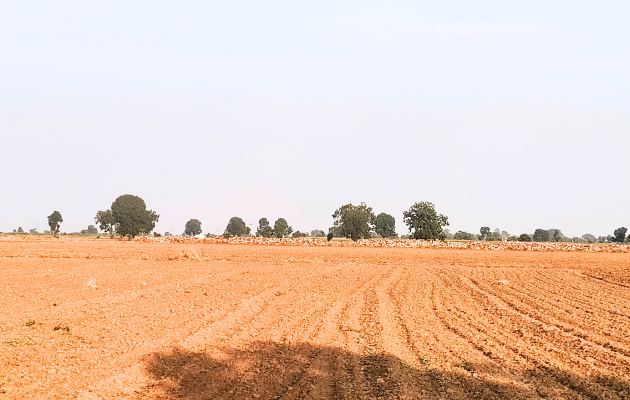 जखोनी में चारागाह भूमि पर दबंगों का अतिक्रमण बढ़ता जा रहा है