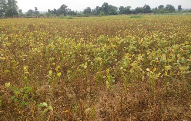 किसानों को मुआवजा नहीं मिलने से बढ़ी चिंता