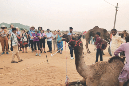 पुष्कर पशु मेले में विदेशी पर्यटकों की भीड़, ऊंट और घोड़े आकर्षण का केंद्र