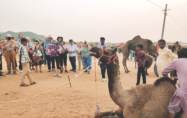 पुष्कर पशु मेले में विदेशी पर्यटकों की भीड़, ऊंट और घोड़े आकर्षण का केंद्र